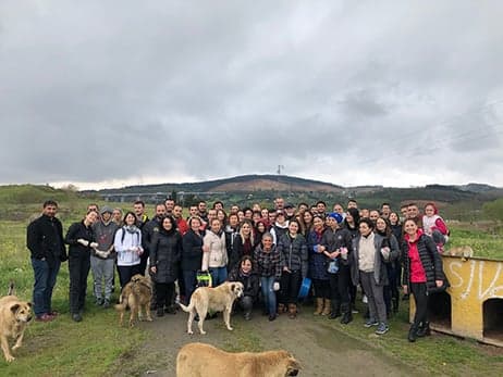 Satın Alma Sahiplen!