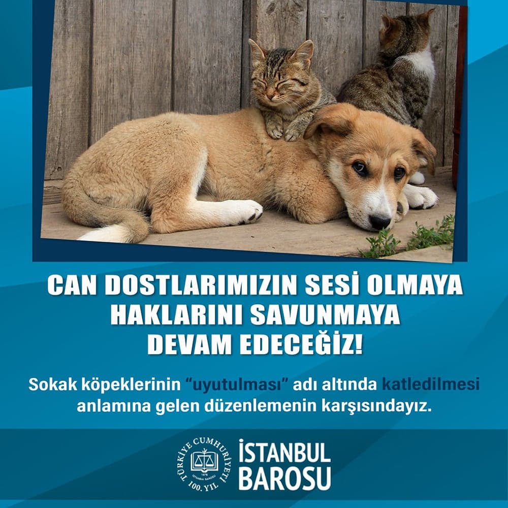 Can Dostlarımızın Sesi Olmaya, Haklarını Savunmaya Devam Edeceğiz!