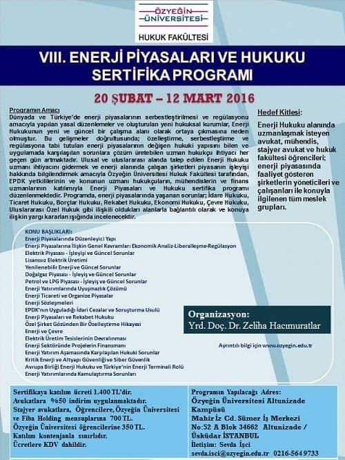 Vııı. Enerji Piyasaları Ve Hukuku