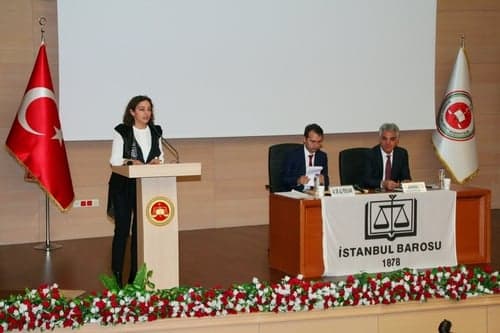 Aihm’E Bireysel Başvuru Hakkı Eğitim Sertifika Programı
