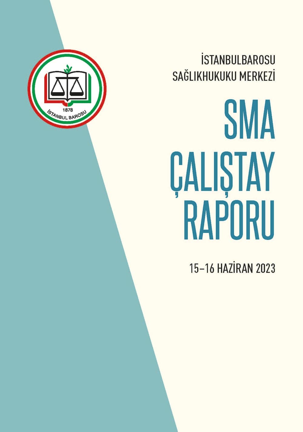 SMA Çalıştay Raporu