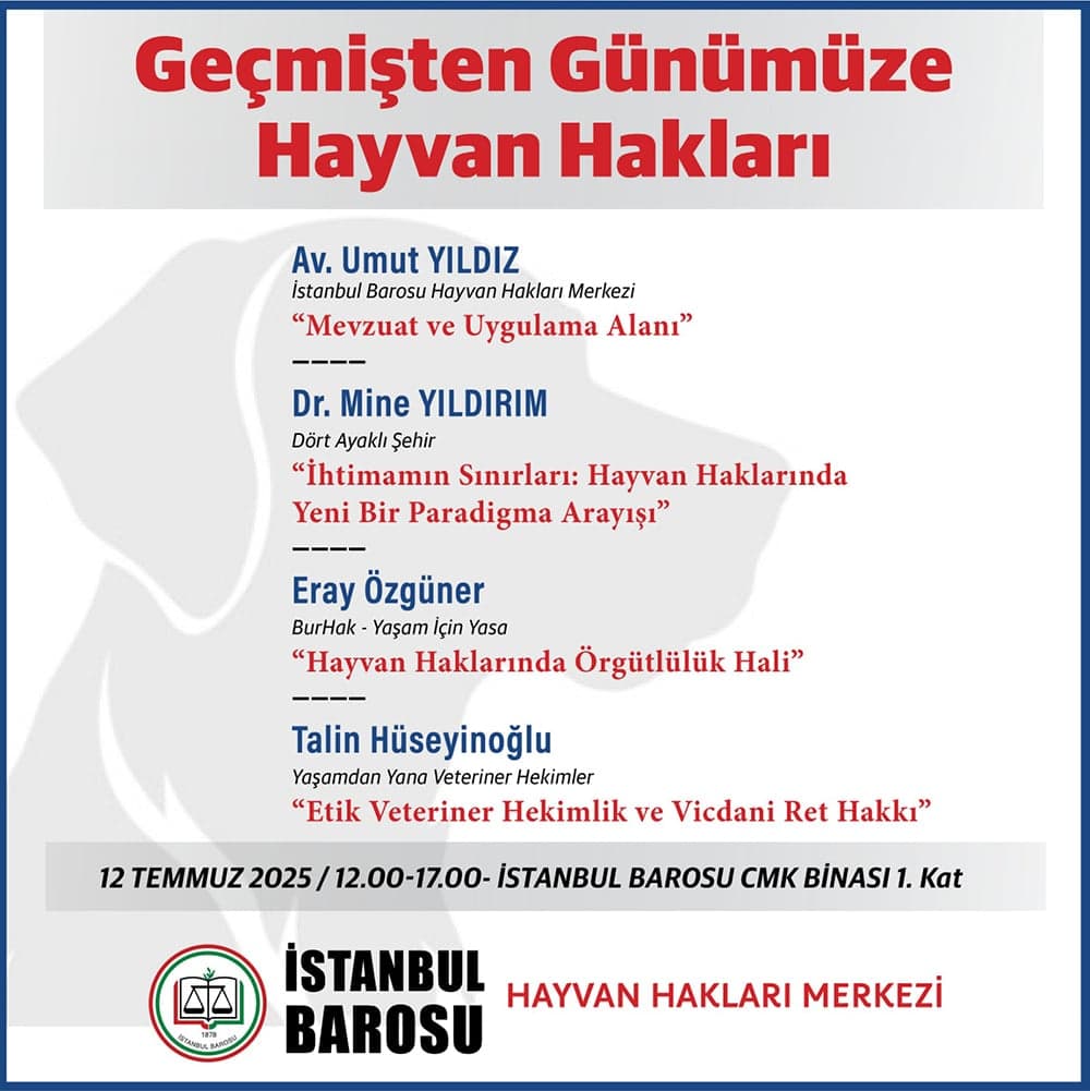 Geçmişten Günümüze Hayvan Hakları