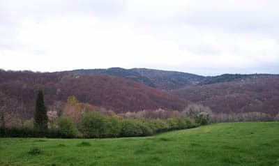 Polonezköy'e Gidiyoruz