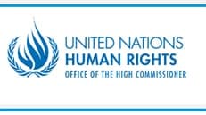 Birleşmiş Milletler (BM) Uzmanları: İstanbul Barosunun kriminalize edilmesi ve yönetim kurulunun görevden alınması kararı, avukatların bağımsızlığına yönelik tüyler ürpertici bir saldırıdır