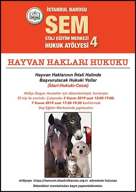 Hayvan Hakları Hukuku