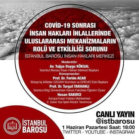 Covid-19 Sonrası İnsan Hakları İhlallerinde Uluslararası Mekanizmaların Rolü ve Etkililiği Sorunu