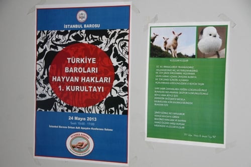 Türkiye Baroları Hayvan Hakları 1. Kurultayı
İstanbul’Da Yapıldı
 - 54