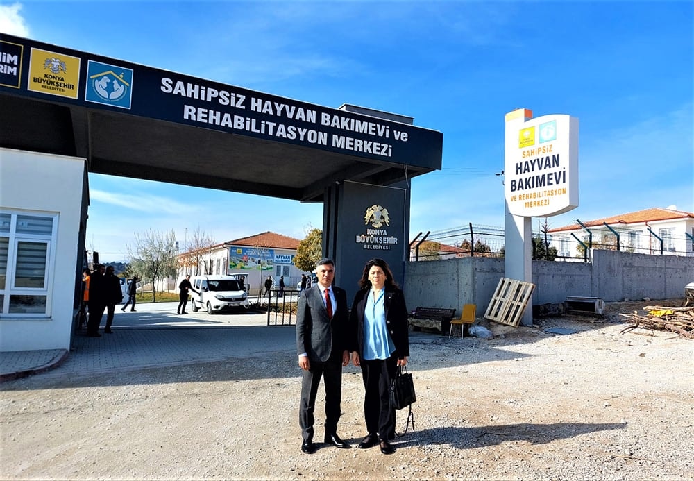 Konya Hayvan Barınağı’ndaki Vahşete Suç Duyurusu - 1