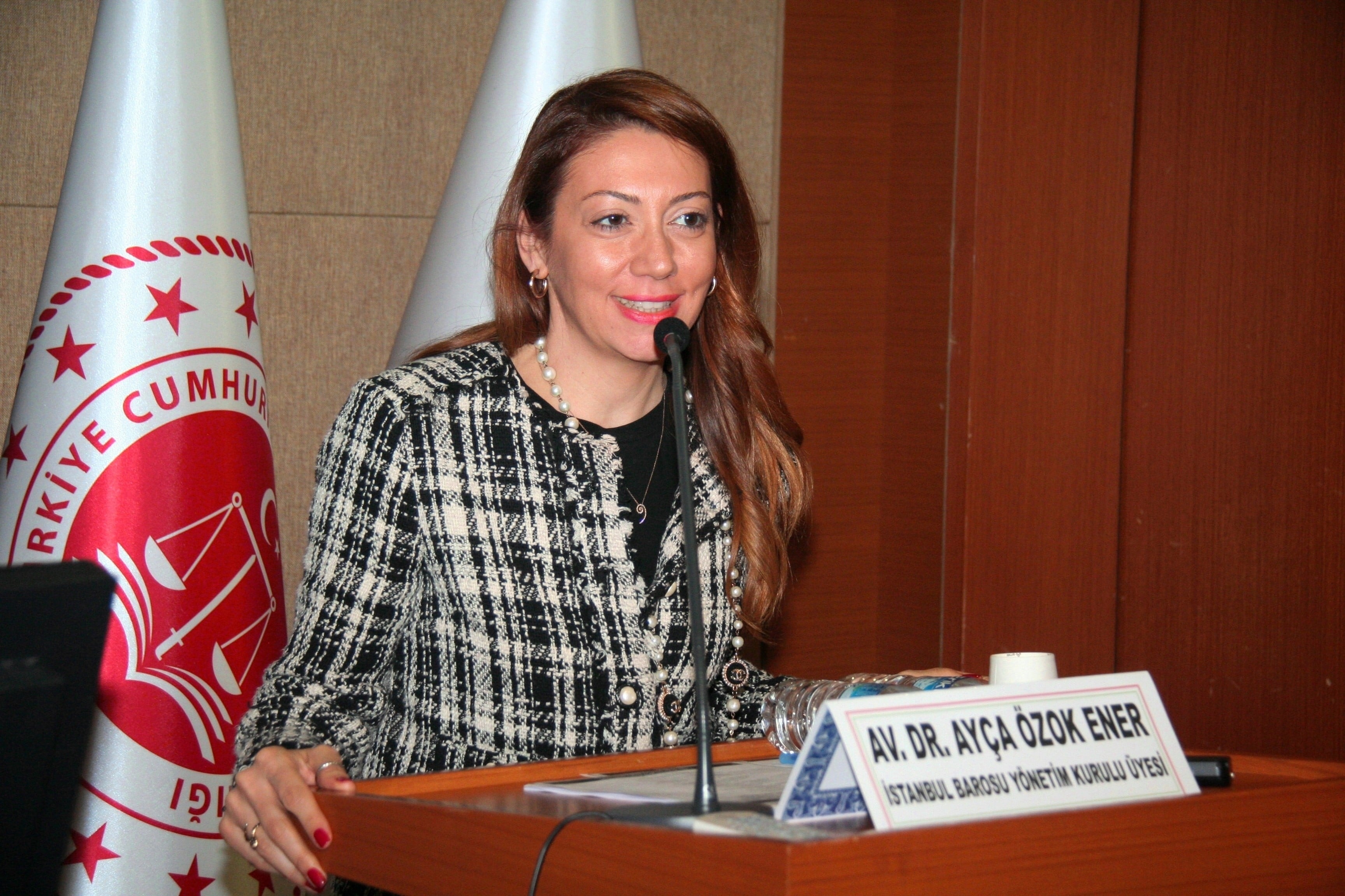 Finansal Sektörde Olan Borçların Yeniden Yapılandırılması - 1