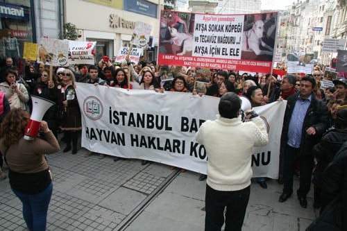 Hayvanseverler Yaşam Hakkı İçin Yürüdü

 - 14