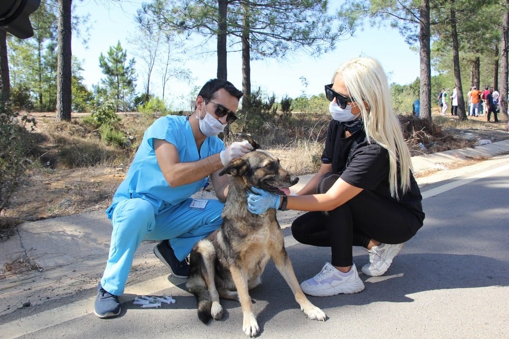 Dünya Hayvanları Koruma Günü - 26