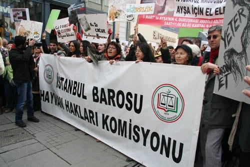 Hayvanseverler Yaşam Hakkı İçin Yürüdü

 - 20