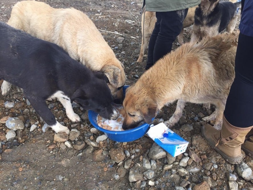 Satın Alma Sahiplen! - 24