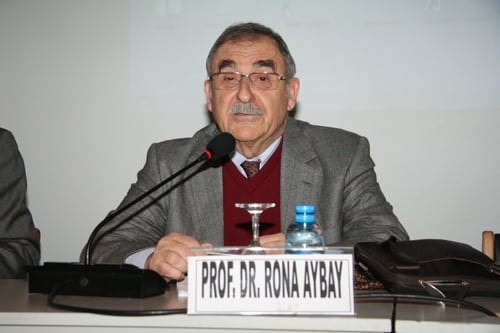 İnsan Haklarında Bir Arpa Boyu Yol
 - 11