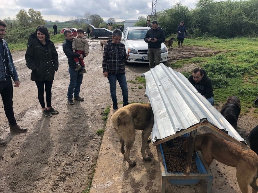 Satın Alma Sahiplen! - 53