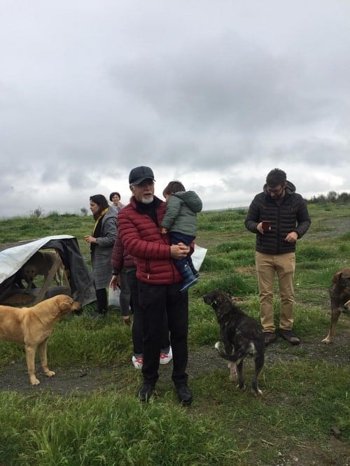 Satın Alma Sahiplen! - 17