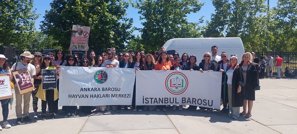 Hayvan, Kadın, Çocuk ve Doğa için Adalet Mitingi'ndeydik - 4