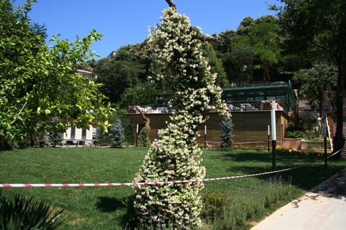 Kanlıca Sosyal Tesisimizde Kahvaltılı Sem Toplantısı - 131