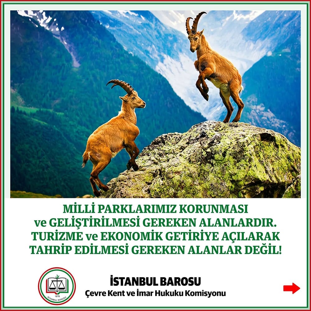 Milli Parklar Kanunu ve Bazı Kanunlar İle 375 Sayılı Kanun Hükmünde Kararnamede Değişiklik Yapılmasına Dair 10.10.2025 Tarih 2/3308 Sayılı Kanun Teklifine İlişkin İnceleme - 1