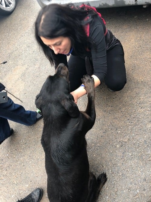 Satın Alma Sahiplen! - 46