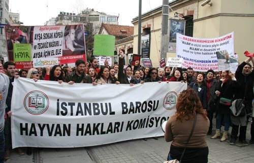 Hayvanseverler Yaşam Hakkı İçin Yürüdü

 - 51