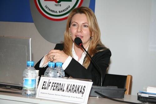 Yenilenebilir Enerji Kaynaklarına 
Yönelmek Zorunlu Hale Geldi - 30