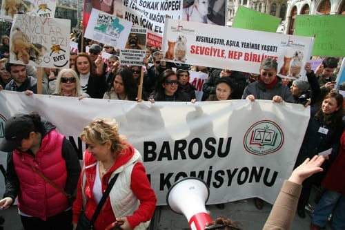 Hayvanseverler Yaşam Hakkı İçin Yürüdü

 - 7