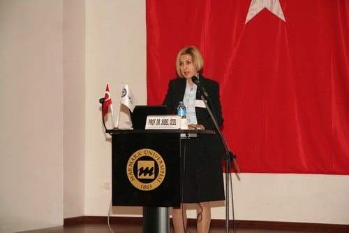 Ab -Türkiye Geri Kabul Anlaşması Ve Vize Serbestîsi

 - 17