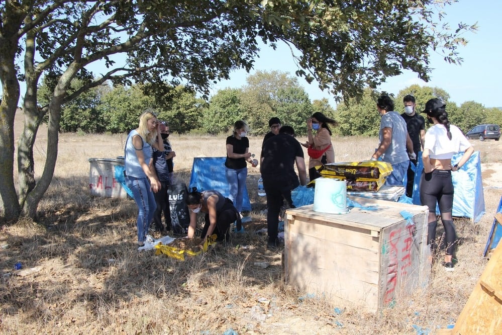 Dünya Hayvanları Koruma Günü - 29
