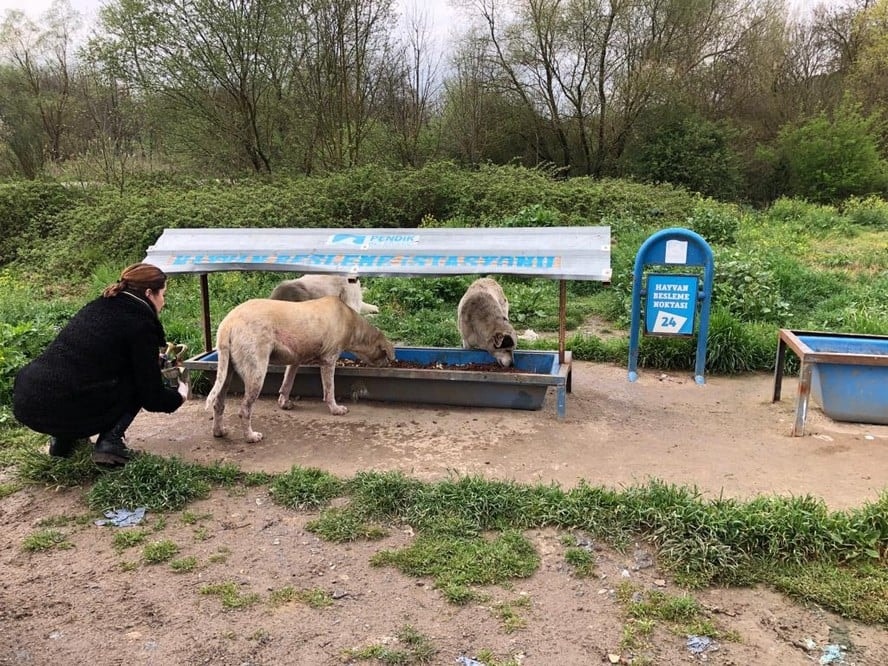 Satın Alma Sahiplen! - 16