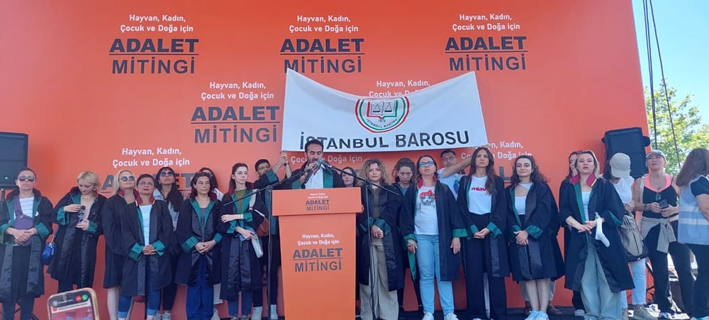 Hayvan, Kadın, Çocuk ve Doğa için Adalet Mitingi'ndeydik - 2