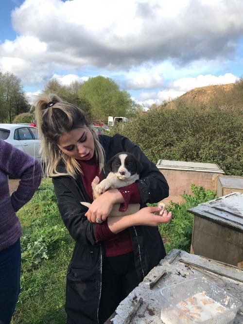 Satın Alma Sahiplen! - 18