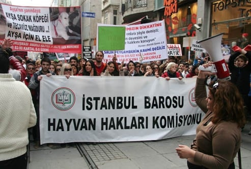 Hayvanseverler Yaşam Hakkı İçin Yürüdü

 - 47