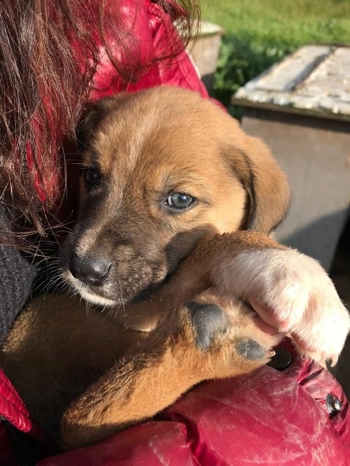 Satın Alma Sahiplen! - 5