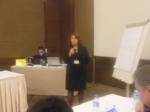 İnsan Hakları Kurullarını Güçlendirme Çalıştayı - 1