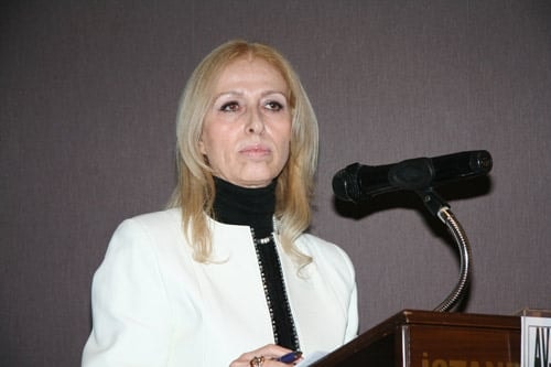 Çevre Ve Kent Hukuku Açısından Üçüncü Köprü Olayının İrdelenmesi - 2