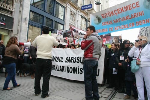 Hayvanseverler Yaşam Hakkı İçin Yürüdü

 - 24