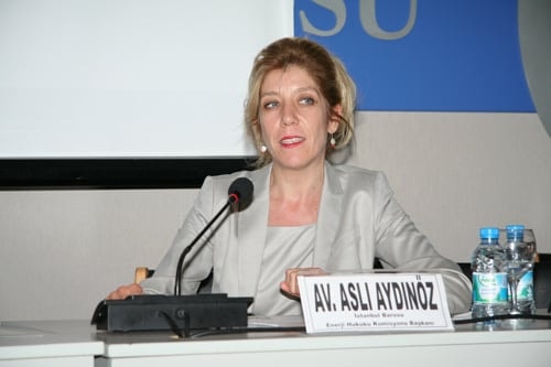 Türkiye’De Petrol Ve Doğalgaz Piyasasındaki Gelişmeler Ve Mevzuatın Getirdikleri

 - 13