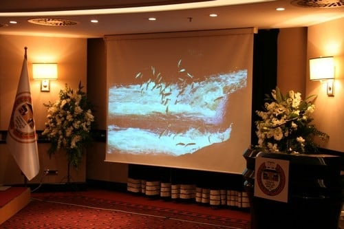 Ekolojik Kriz Ve Kentler
 - 36