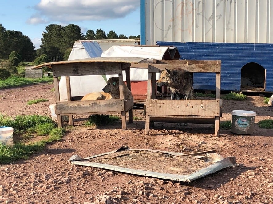 Satın Alma Sahiplen! - 67