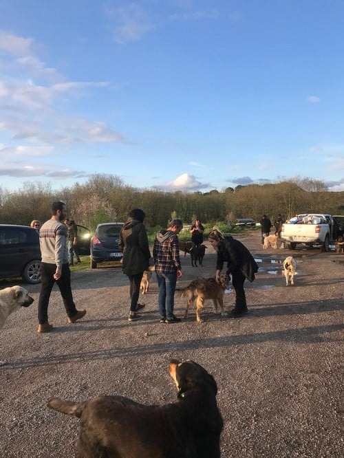 Satın Alma Sahiplen! - 39