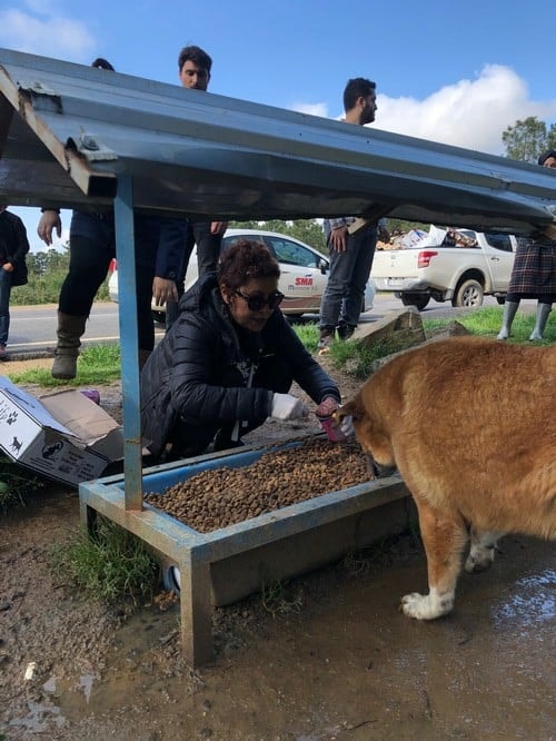 Satın Alma Sahiplen! - 58