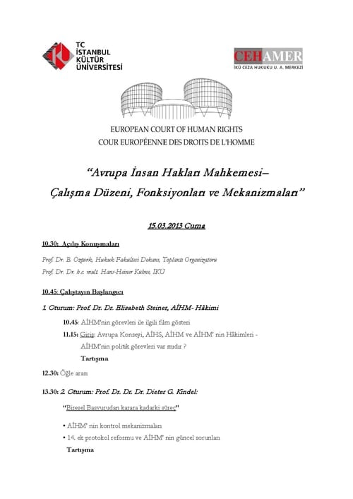 Aihm, Çalışma Düzeni, Fonksiyonları Ve Mekanizmaları

 - 1