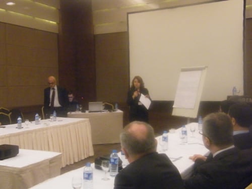 İnsan Hakları Kurullarını Güçlendirme Çalıştayı - 8