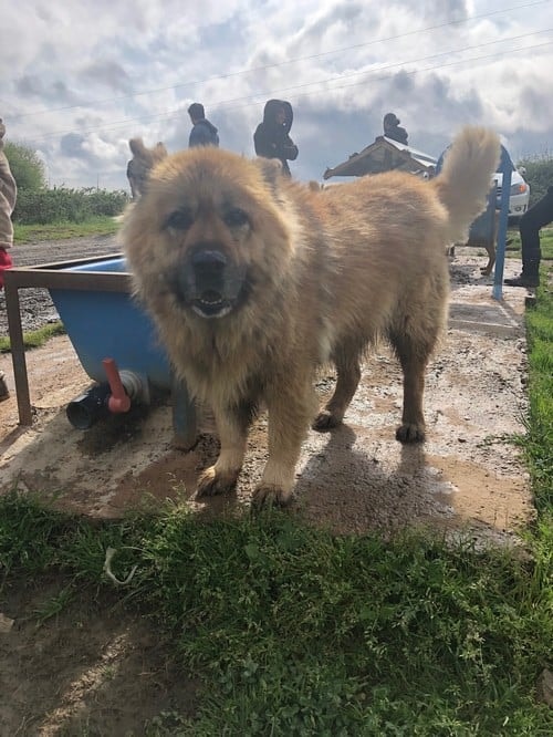 Satın Alma Sahiplen! - 55