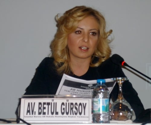 Ab Hukukunun Yeni Türk Ticaret Ve Borçlar Kanunlarına Etkisi - 12