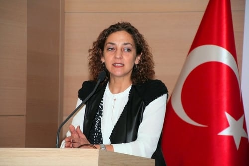 Aihm’E Bireysel Başvuru Hakkı Eğitim Sertifika Programı
 - 1