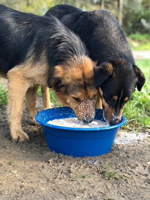 Satın Alma Sahiplen! - 63