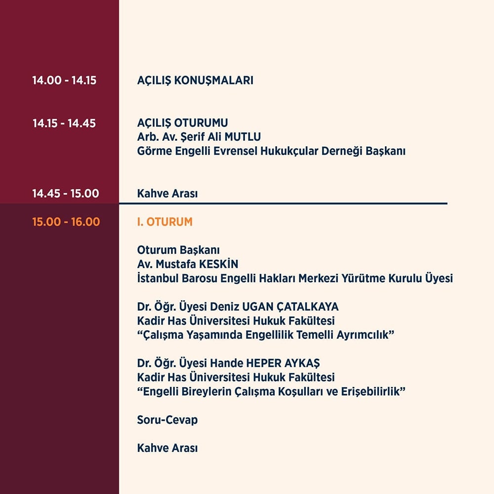 Çalışma Yaşamında Engelli Hakları - 2