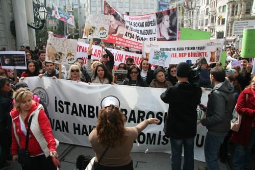 Hayvanseverler Yaşam Hakkı İçin Yürüdü

 - 9